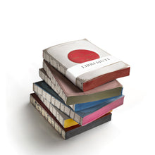 Charger l'image dans la galerie, Carnets d’écriture, livres anciens