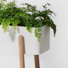 Charger l'image dans la galerie, Jardinière design métal et bois